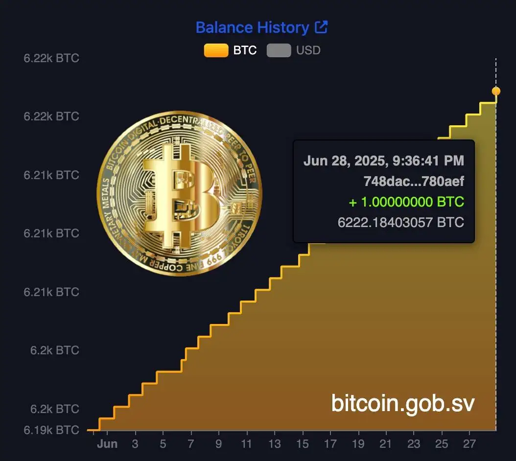 萨尔瓦多约10分钟前购入1 BTC