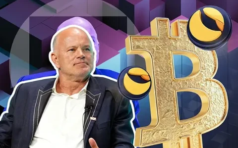 诺沃格拉茨：金库热潮退去，RWA重塑金融格局？