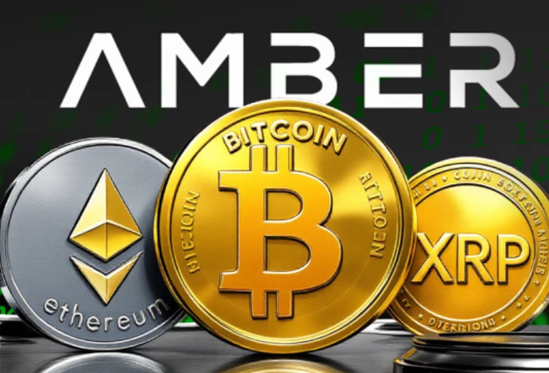 ‌Amber 1亿加密储备布局：为何重仓ETH却加码SOL/XRP？