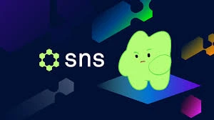 Solana生态SNS空投倒计时：24小时后截止申领